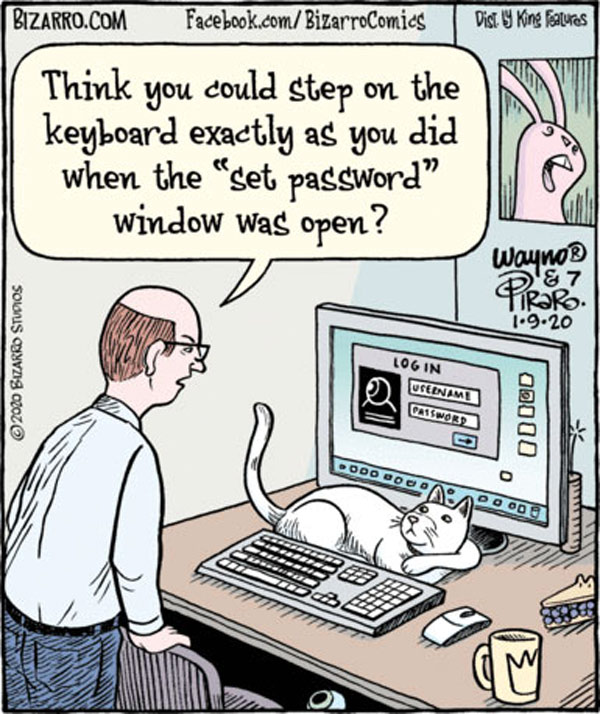 cat password  comic