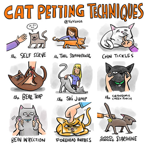 cat petting techniques  comic