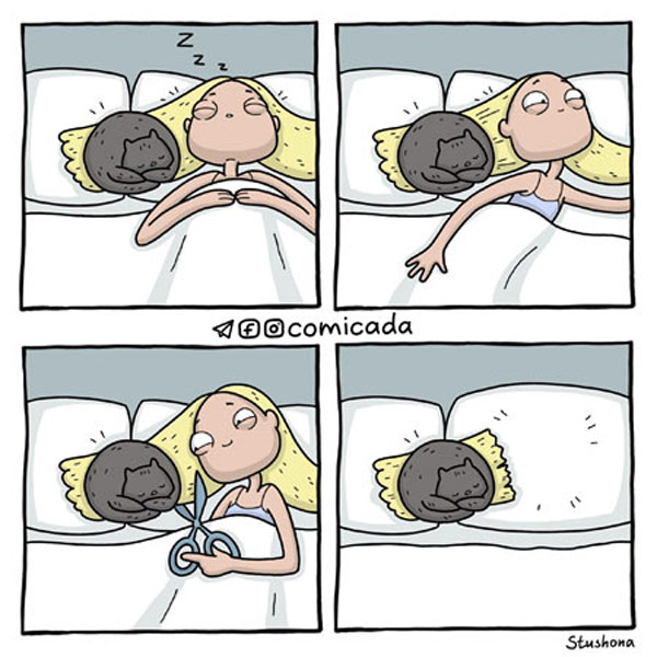 cat sleeping comic