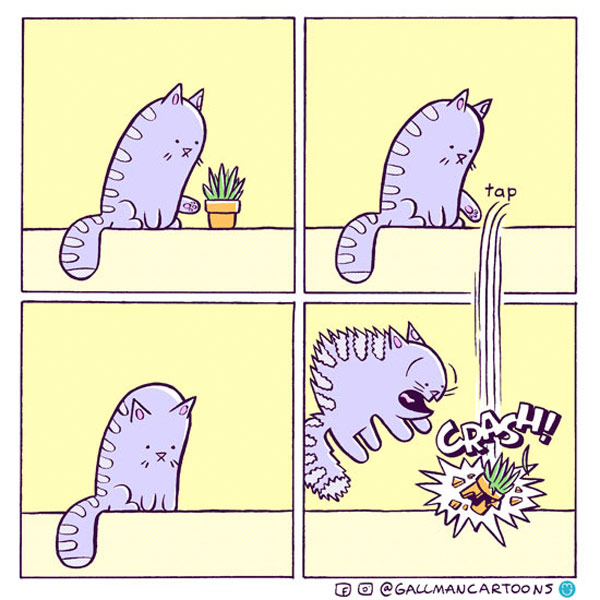 surreal gravity cat comic