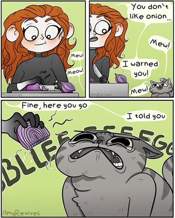 cat and onions  comic
