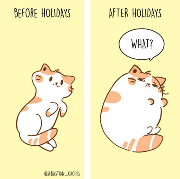 fat holiday cat comic