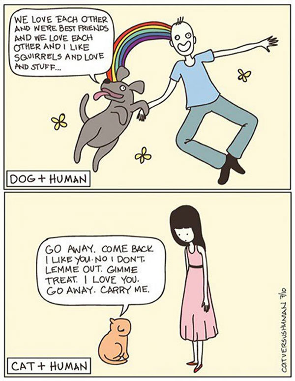 cat and dog logic