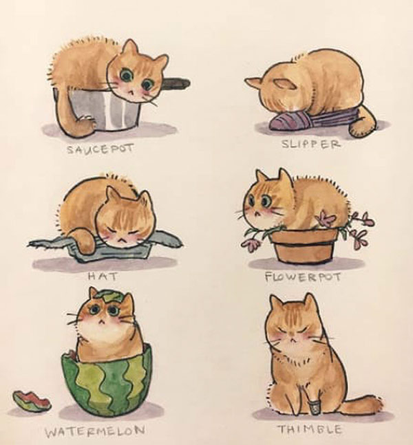 cats sitting in things  comic