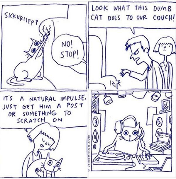 dj cat comic