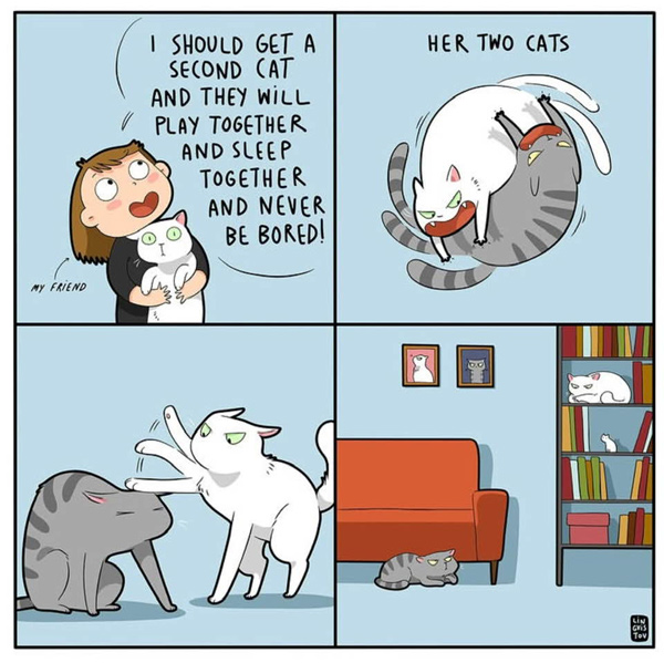 fighting cat comic