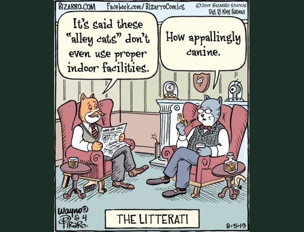 intelligent cats comic