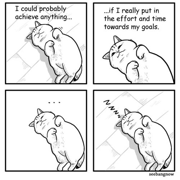 lazy cat  comic