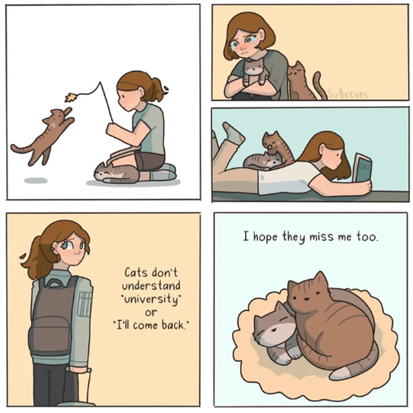 covered with cats  comic