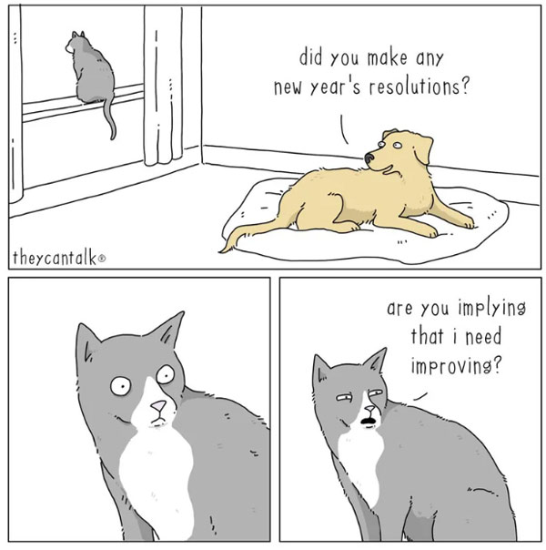 new years cat comic