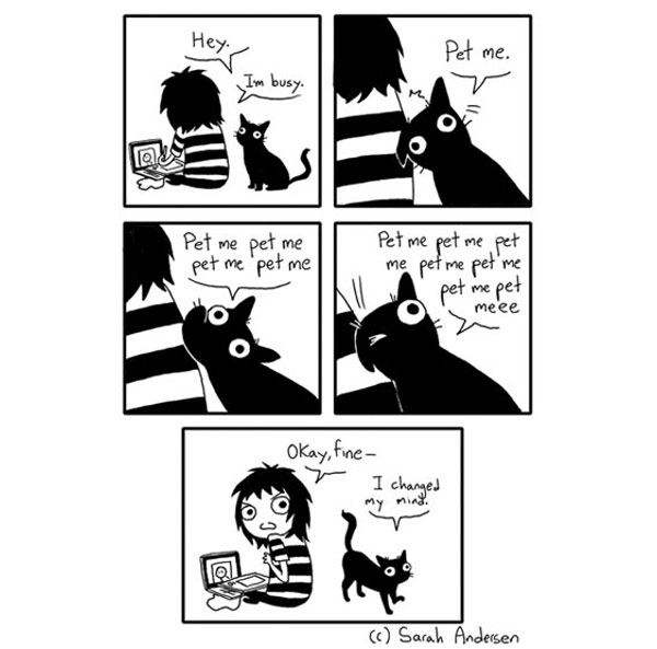 pet the  cat comic