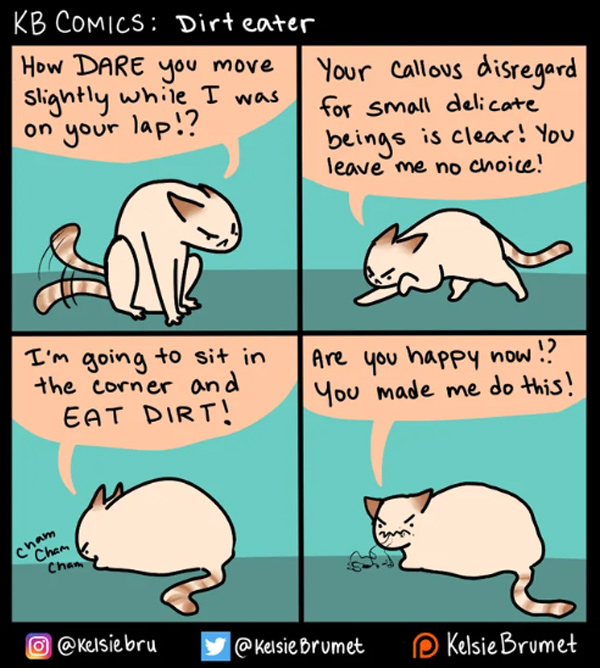 pissed cat comic