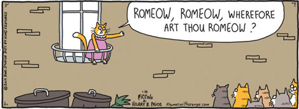 romeow and juliet cat  comic