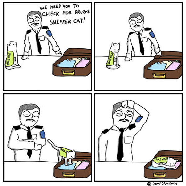 drug sniffer cat comic