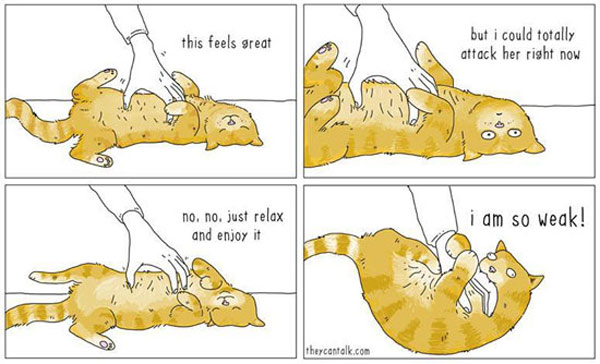 tickle belly cat comic