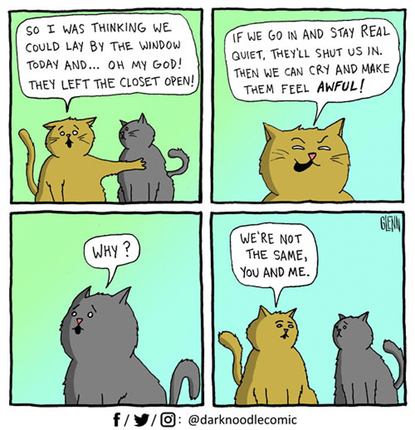 two kinds of cat comic