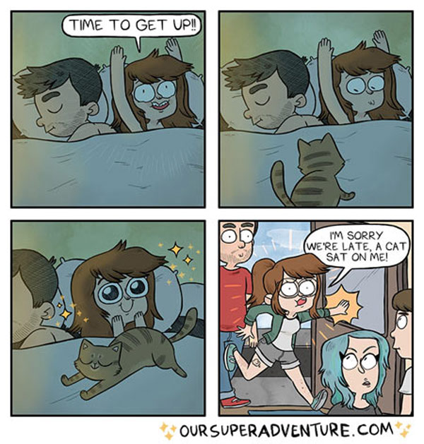 wake up cat comic