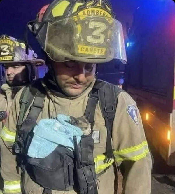 firefighter and kitten