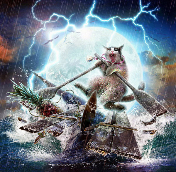 shipwrecked cat art