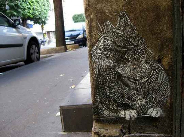 cat stencil on wall