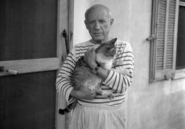 picasso and cat