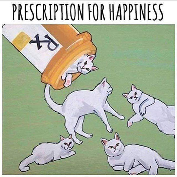 cat happy pills