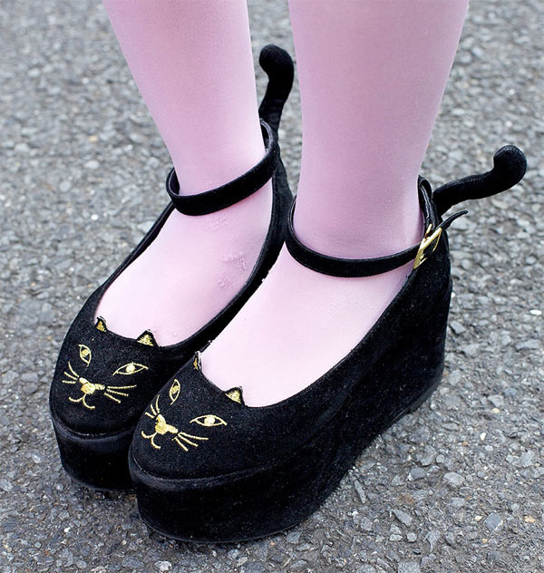 cat shoes