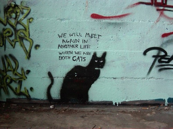 we will meet again as cats someday