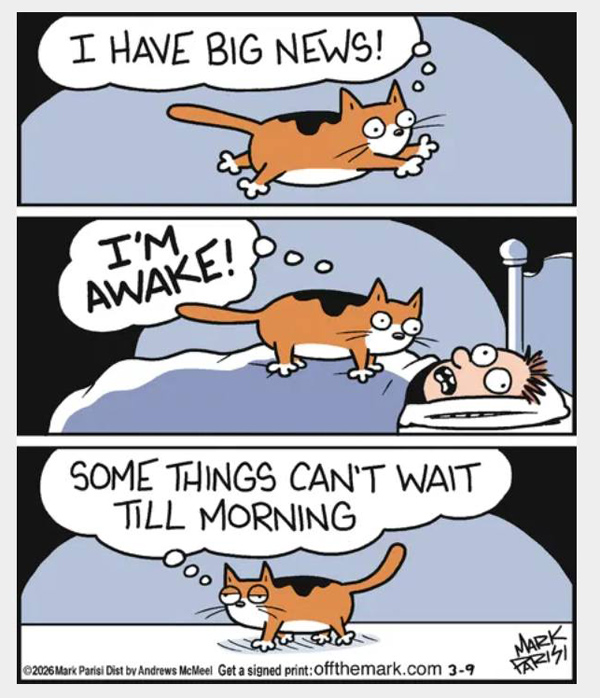 cat is awake comic