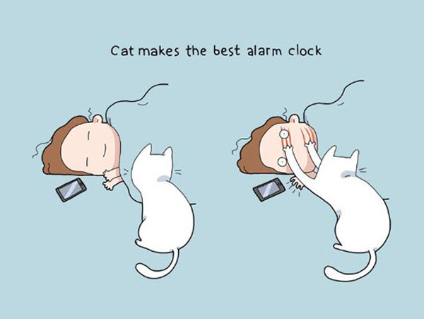 cat alarm clock comic