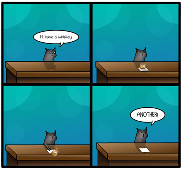 cat and whiskey comic