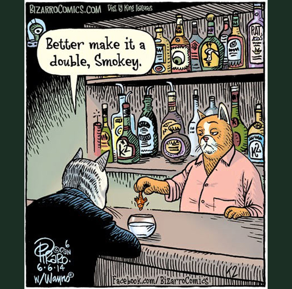 cat drinking heavy  comic