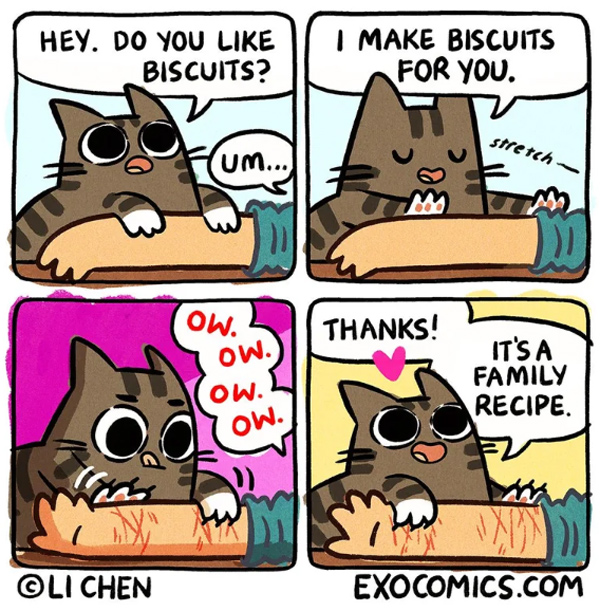 cat biscuits comic