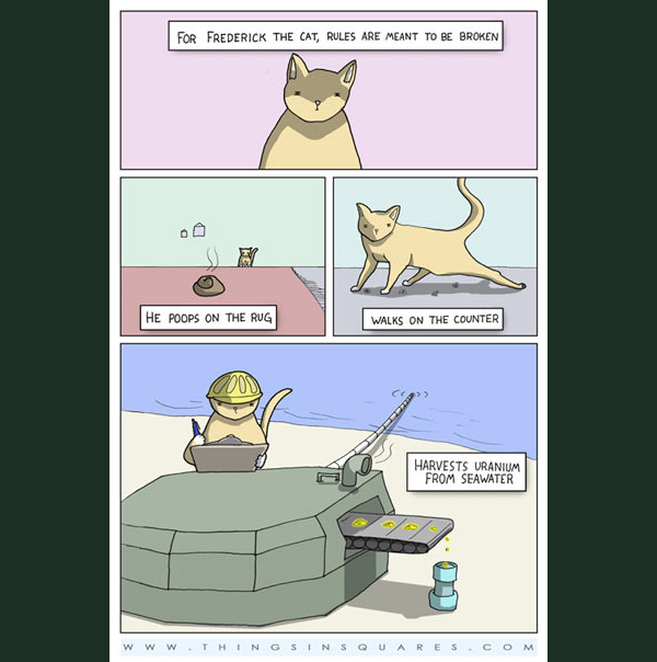 cats break the rules