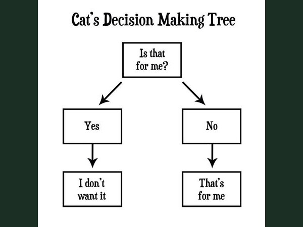 cat decision tree