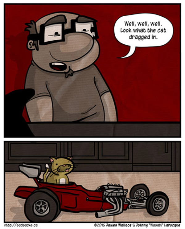 cat in car comic