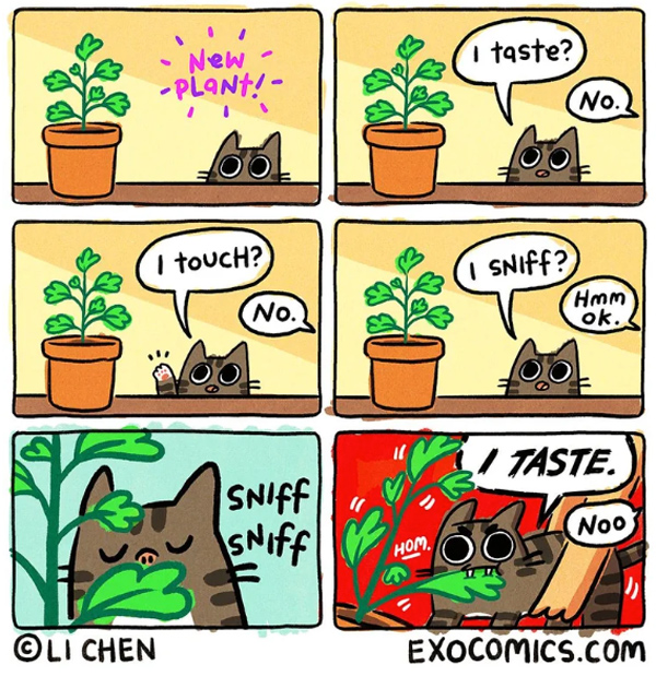 cats eat plants  comic