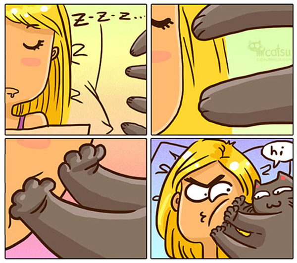 relating to catscat needs attention 