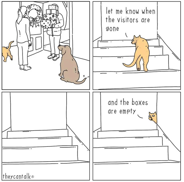 cat presents boxes comic