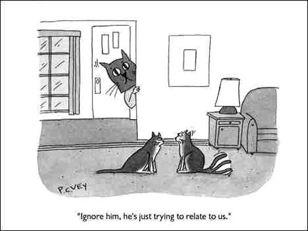 relating to cats comic