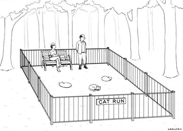 cat park comic