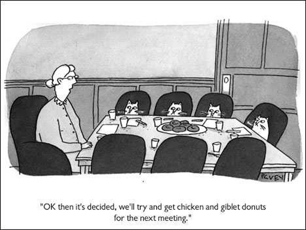 chicken donuts cat comic