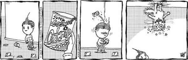 cat on catnip comic