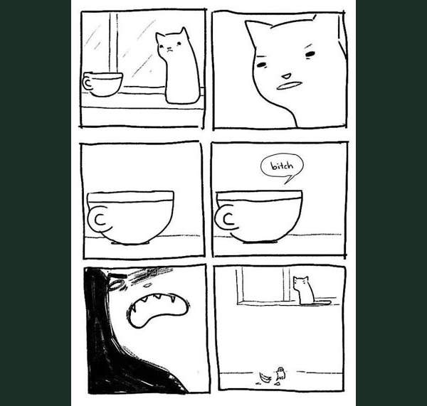 cat murder dreams cup offends cat