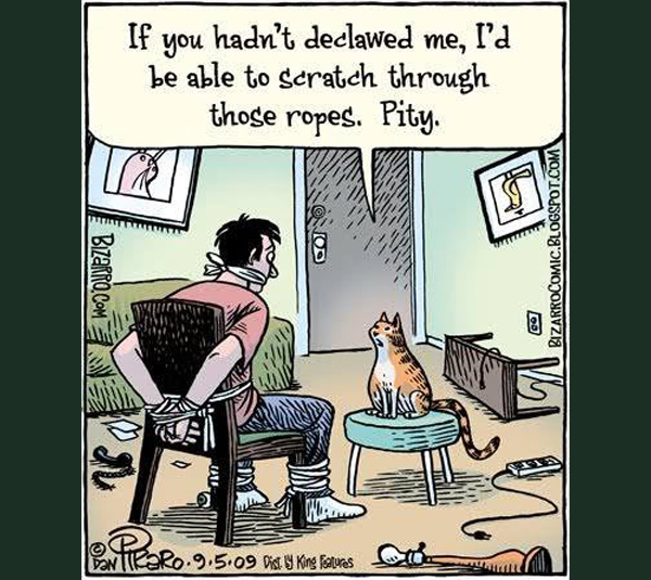declawed cat comic