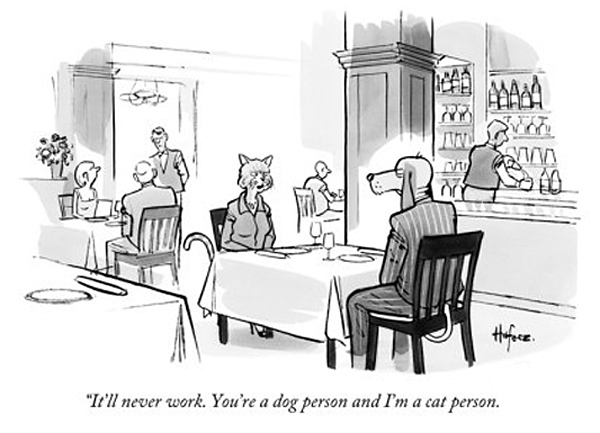 cat and dog at dinner  comic