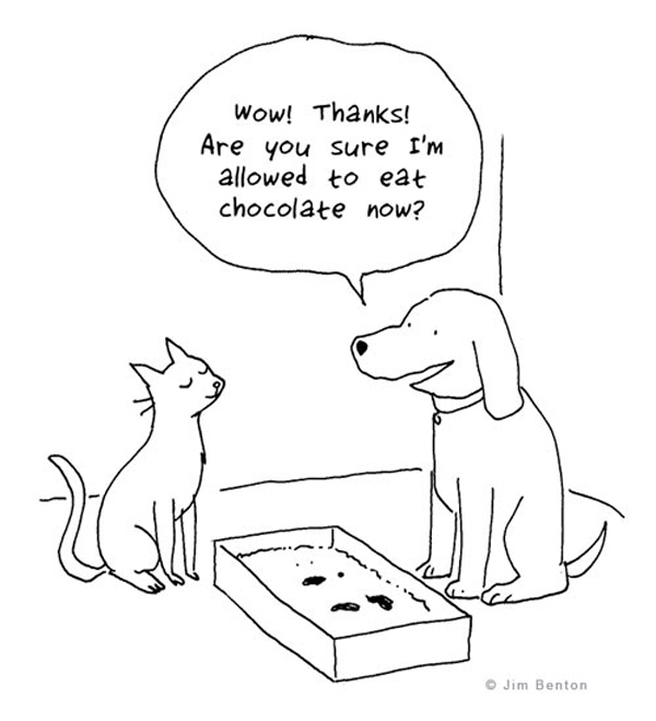 dog eat cat turds comic