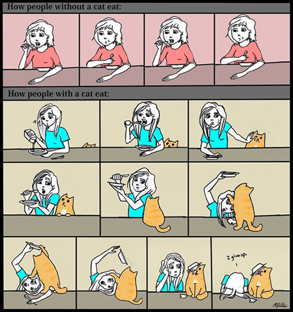 eating with cats comic