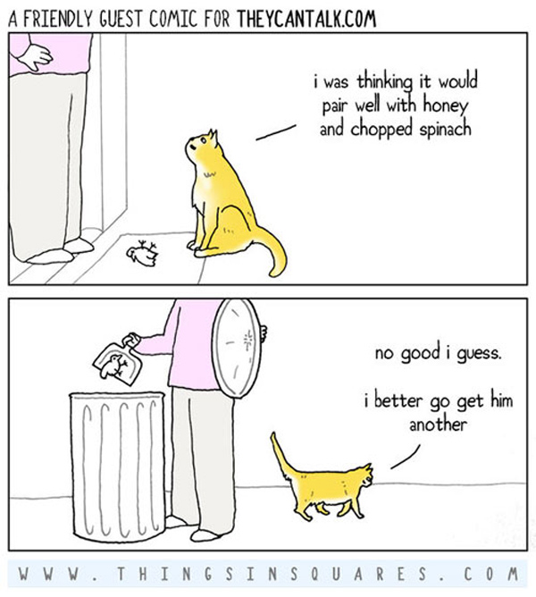 gourmet cat comic