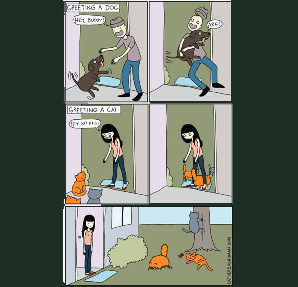 greeting a  cat  comic
